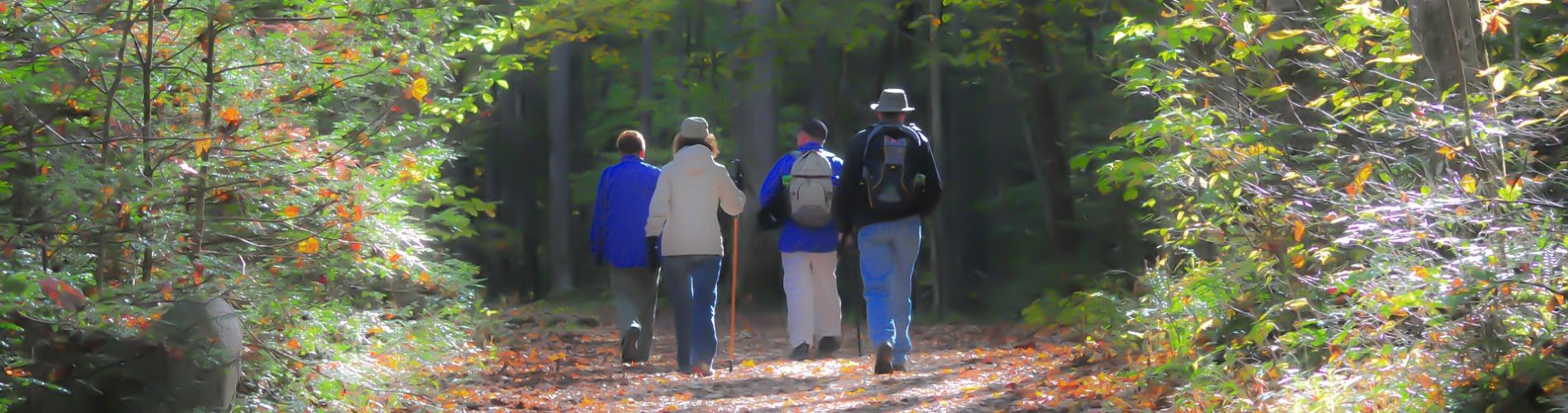 passeggiata escursioni a piedi in compagnia