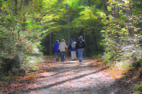 passeggiata escursioni a piedi in compagnia