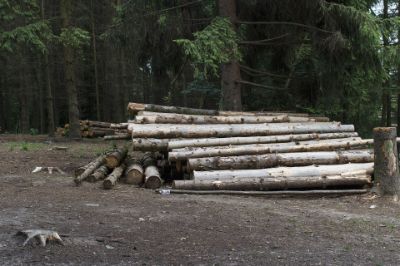 logs-g234da337d_1920