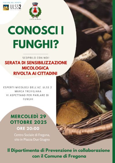 fregona funghi