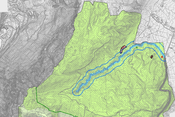 Anteprima Piano degli Interventi Fregona Anteprima Piano degli Interventi Fregona