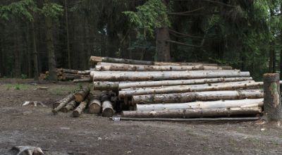 logs-g234da337d_1920